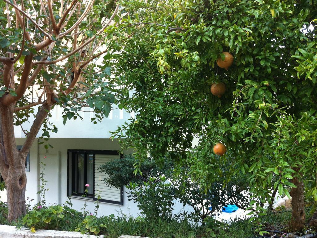 Emilia Apartments ปลาเกียส ภายนอก รูปภาพ